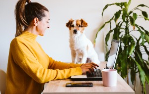 How to Factory Reset MacBook Pro High Sierra How to Factory Reset MacBook Pro High Sierra